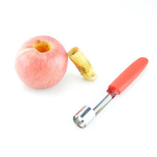 Load image into Gallery viewer, Fruit Seed Extractor